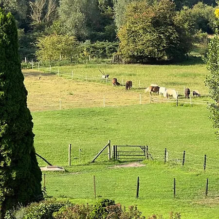 Sfeervolle Aan De Dorpsdijk Met Gratis Ontbijt *