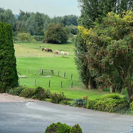 Bed & Breakfast Sfeervolle Aan De Dorpsdijk Met Gratis Ontbijt