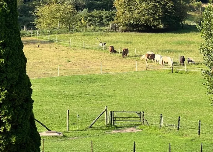 Sfeervolle Aan De Dorpsdijk Met Gratis Ontbijt *