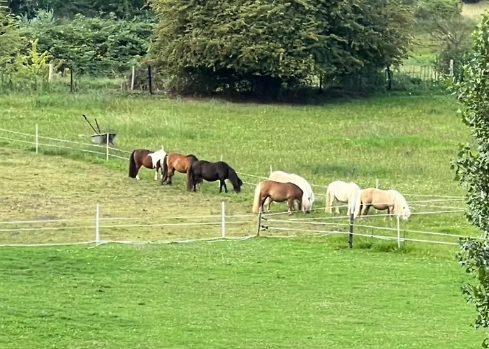Sfeervolle Aan De Dorpsdijk Met Gratis Ontbijt *