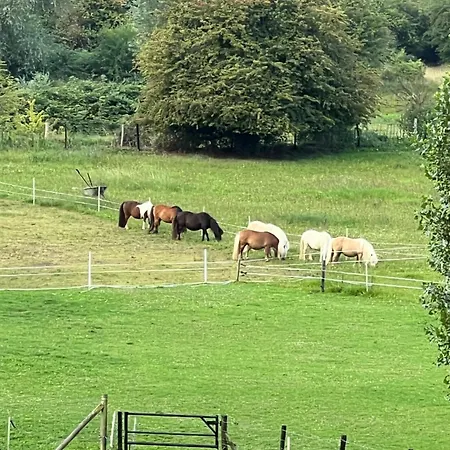 Sfeervolle Aan De Dorpsdijk Met Gratis Ontbijt *